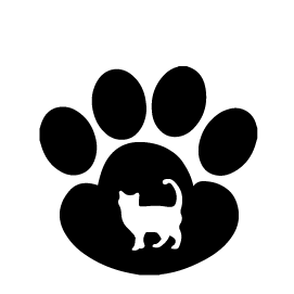 Кошача лапа 2